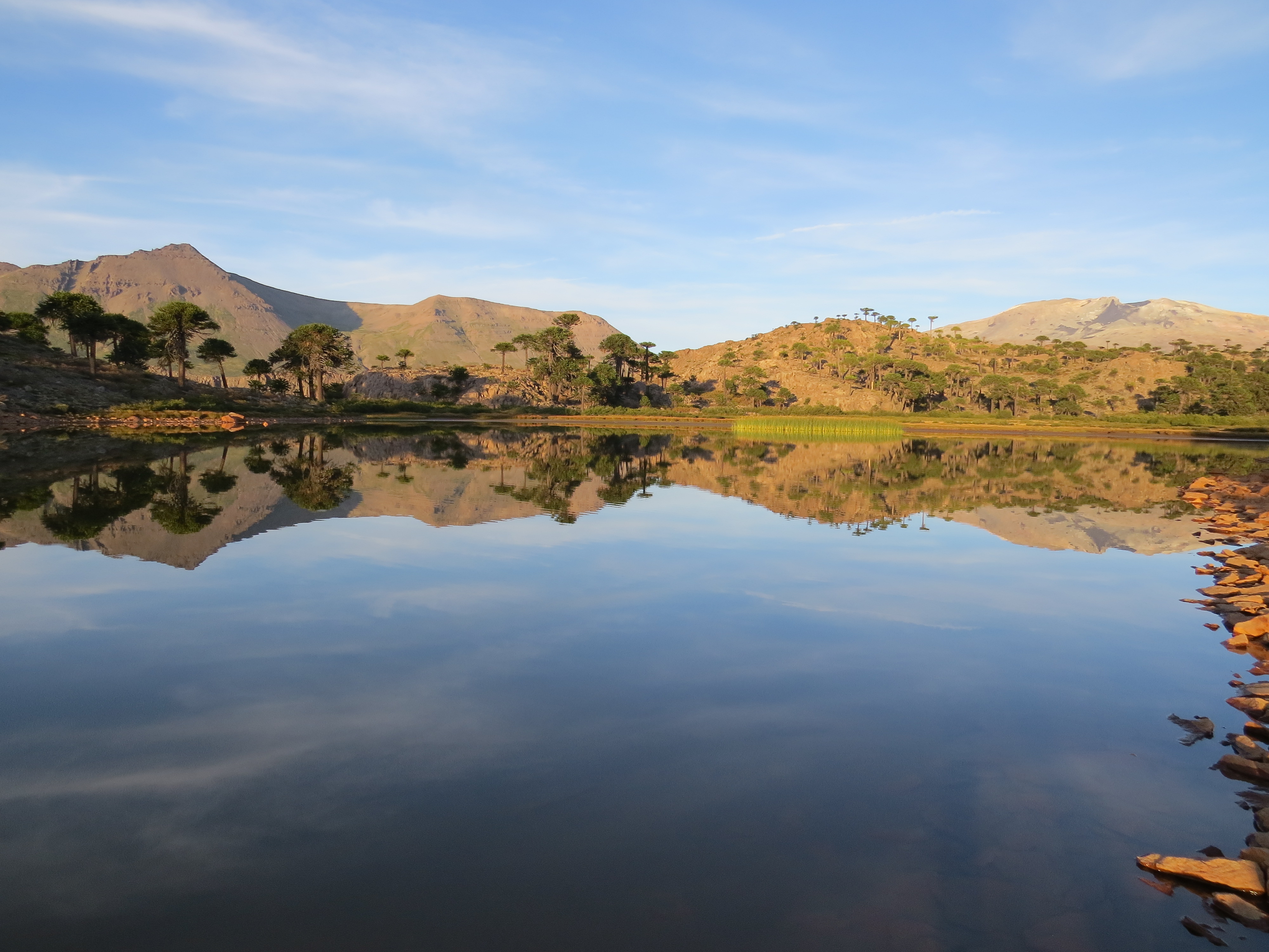 Primavera y Verano en Caviahue y Copahue