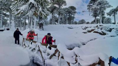A la Carta (Invierno)